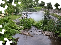 bridges, Flowers, Garden, Bush