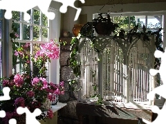 geraniums, veranda, windows