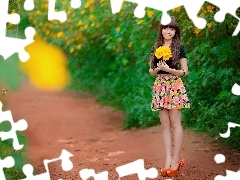 gerberas, Garden, bouquet, Yellow, Women