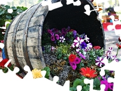 gerberas, petunias, composition, Flower, barrel