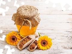 gerberas, honey, Propolis