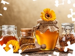 gerberas, honey, Propolis