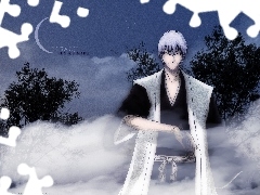 Night, bleach, Gin Ichimaru