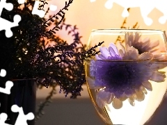 glass, heather, Flowers