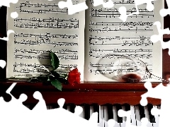 rose, Piano, glass, Tunes