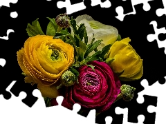 bouquet, glaucoma, Dark Background, Flowers