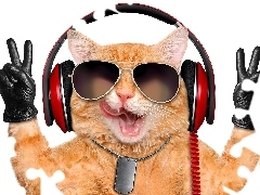 cat, Glasses, glove, HEADPHONES