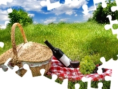 Grapes, picnic, basket, Wine, grass