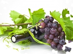 Grapes, Bottle, Wines