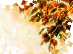 color, Fractaluis, graphics, Leaf