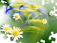 daisy, streaks, graphics, color