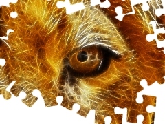 graphics, Lion, eye