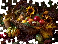 wicker, apples, Leaf, Nice sunflowers, pumpkin, basket, graphics