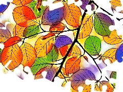 graphics, color, Leaf
