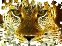 Leopards, graphics