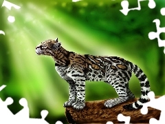 ocelot, light, graphics, rays