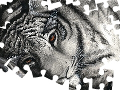 tiger, graphics