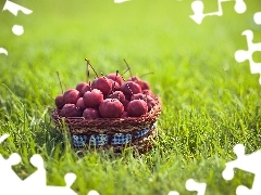 apples, basket, grass, Paradise