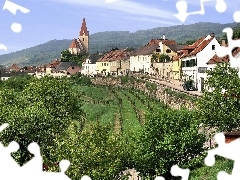 trees, Church, grass, Austria, viewes, Houses