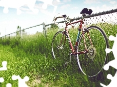 Bike, tall, grass, Cycle