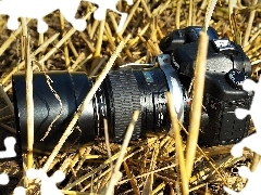 Camera, Eos 40D, grass, Canon