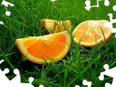 cuts, Green, grass, orange