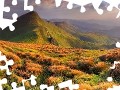 Mountains, Clumps, grass, clouds