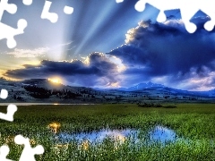grass, puddle, rays, sun, clouds