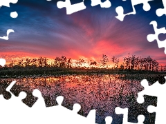 swamp, pool, grass, trees, reflection, Great Sunsets, Red, Sky, viewes