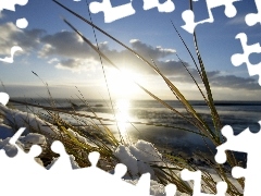 grass, snow, sun, sea, Early