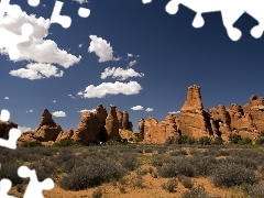 canyon, Clumps, grass, Stones rocks