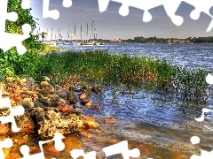 grass, River, Stones