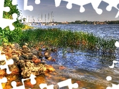 grass, River, Stones