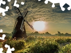 grass, Windmill, sun