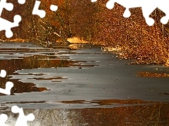 grass, lake, viewes, early spring, trees, melting