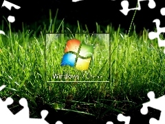 logo, Windows 7, grass