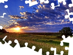 Field, clouds, Great Sunsets, Sky