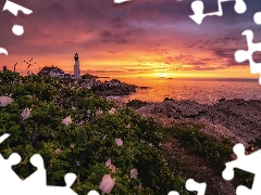 Great Sunsets, Flowers, sea, rocks, Lighthouses