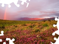 The Hills, Meadow, Great Rainbows