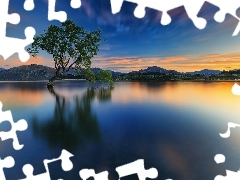 trees, Mountains, Wanaka Lake, Great Sunsets, New Zeland