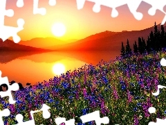 Great Sunsets, Meadow, lake, Flowers, Mountains