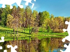 Pond - car, Park, green