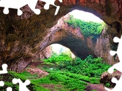 cave, green