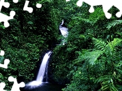 green, waterfall, jungle