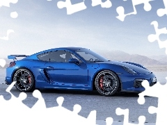 Porsche, Cayman GT4