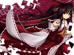 Hakurei Reimu, flakes