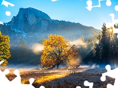 California, The United States, Yosemite National Park, Half Dome Mountain, viewes, Fog, Mountains, trees, autumn