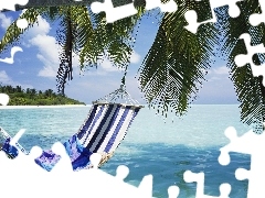 Hammock, sea, Palms