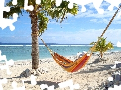 sea, Palm, Hammock, Beaches