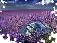 Hat, Field, lavender